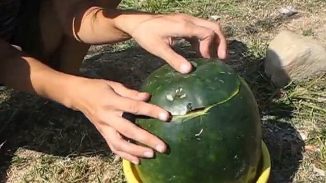 Арбуз на Севере смотреть онлайн