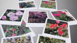 DNK RomaNa "Тюльпан" (2020)