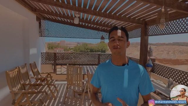 Что происходит на дорогах Египта. Или реальные правила дорожного движения. смотреть онлайн