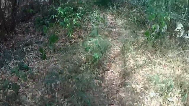 ЗЕМЕЛЬНЫЙ УЧАСТОК СОЧИ продам 6 соток КУПИТЬ землю под строительство дома смотреть онлайн