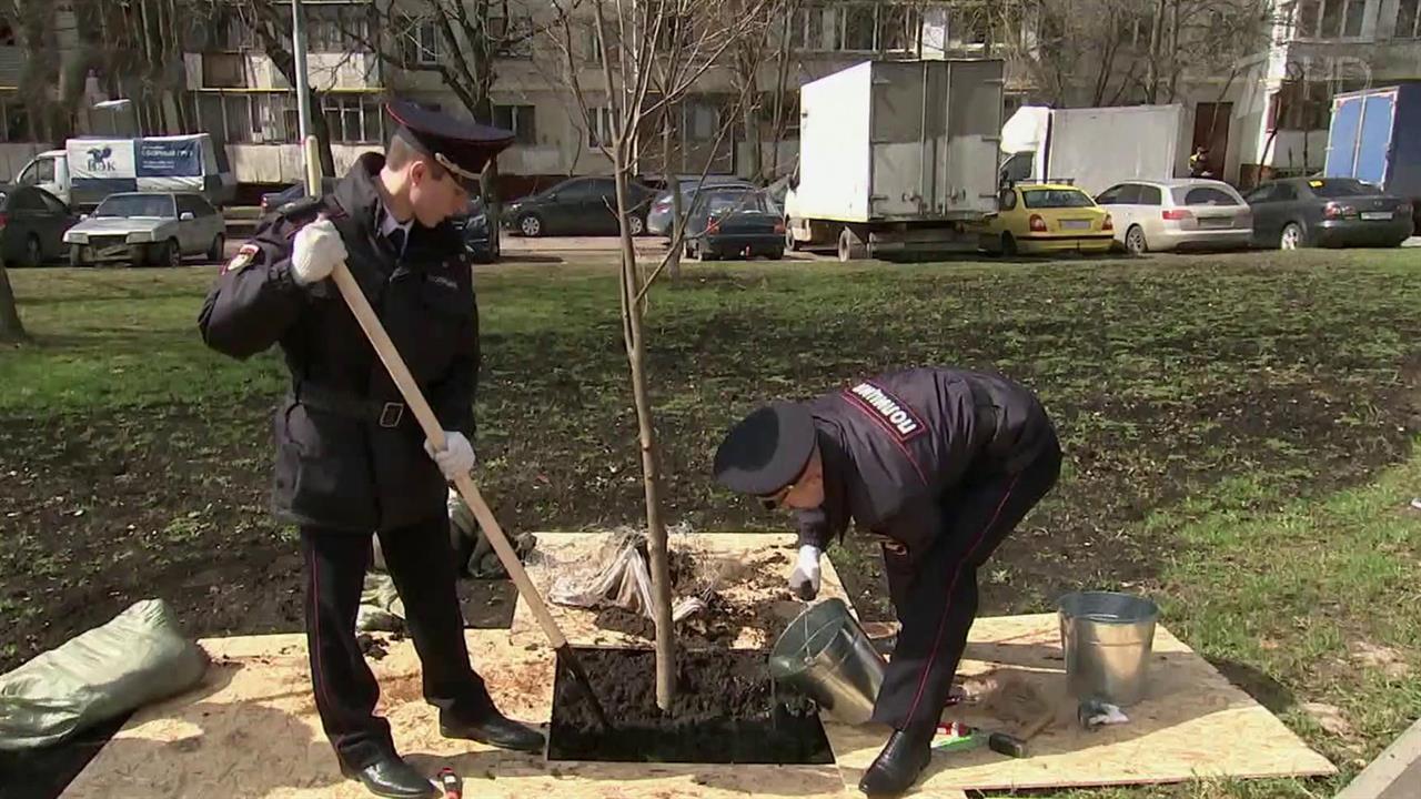На юге Москвы высадили деревья на аллее, посвященной 300-летию российской полиции