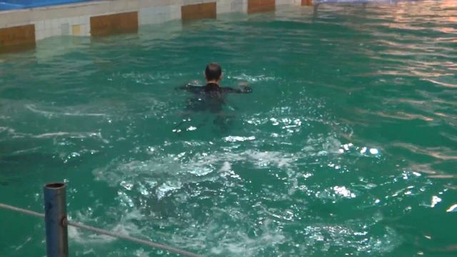 Дельфинарий (Dolphinarium) Спб ян.2011 Russia Piter смотреть онлайн