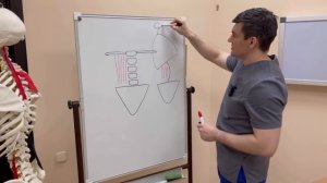 Если 1 раз сделаешь это спина не будет болеть 10 лет. Потом еще раз повторишь если снова заболит