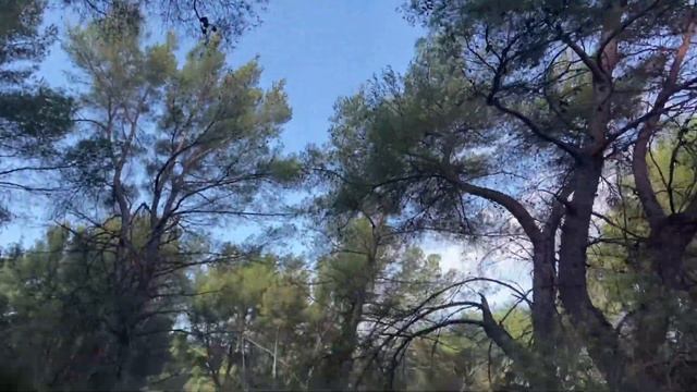 Lavalduc - розовая лагуна | солёное озеро Лавальдук в Провансе смотреть онлайн