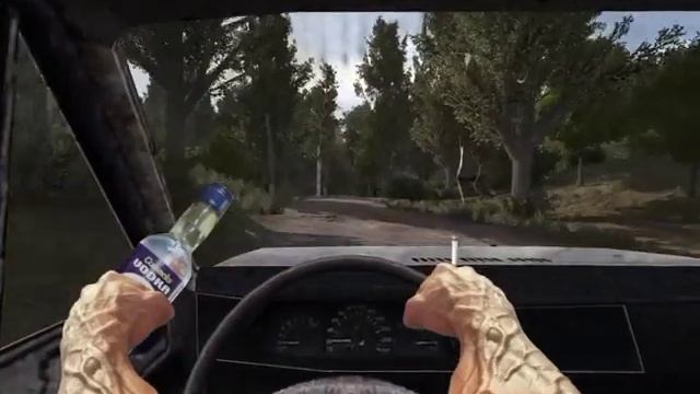 Лаванда горная лаванда....