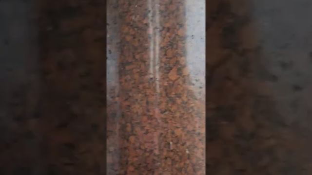 Вид с Колоннады Исаакиевского собора смотреть онлайн