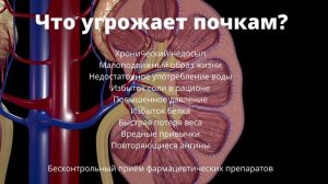 Заболевания почек