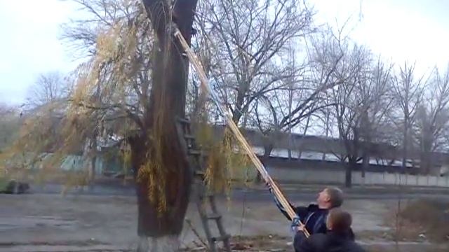 Как пилить деревья без автовышки