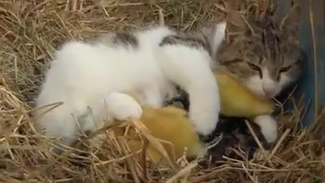 Не хорошо быть человеку одному!