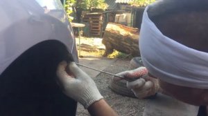 Замена лампы в передней фаре без снятия бампера а так же самой фары