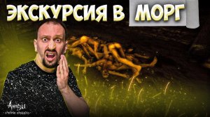 КАК Я ПОПАЛ В МОРГ? ► Amnesia The Dark Descent #8