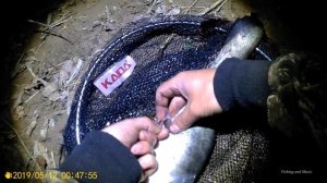 Ловля сома весной с берега на донку на земляного червя на реке в мае ночью. Охота на сома #2. Клюет