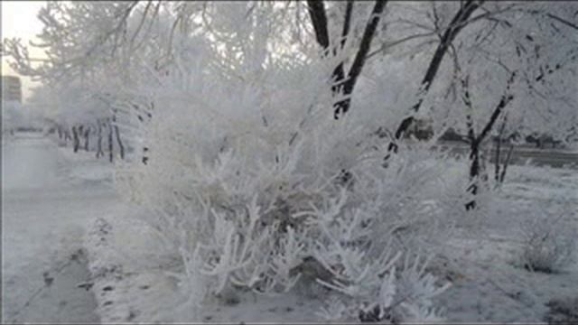 Последний Снег Петлюры смотреть онлайн