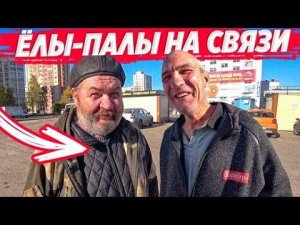 У ЁЛЫ ПАЛЫ КУЧА КЛОПОВ В КАРМАНАХ / ОДЕВАЕМ ВСЮ БРИГАДУ НА ОСЕНЬ