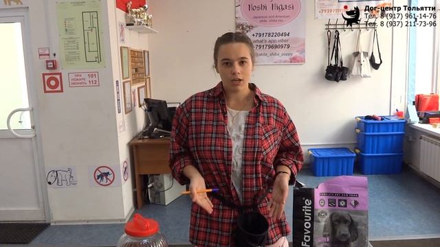 Инструктор Дружкова Юлия. Кормление собак сухим кормом. Тольятти, 29 августа 2021. смотреть онлайн