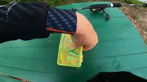 Воблер убийца!!! Косит всё живое. Ловля голавля весной.