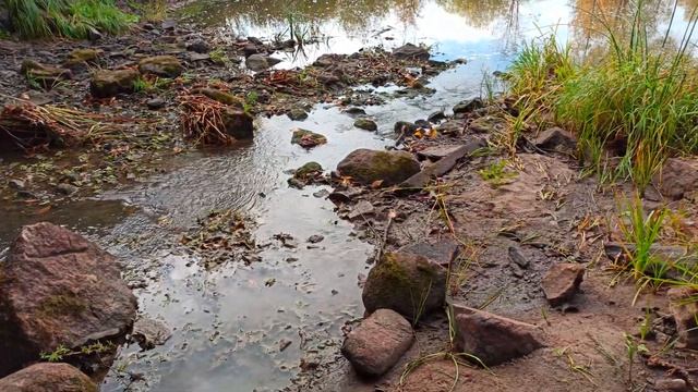 39 Калининградская область 303. смотреть онлайн