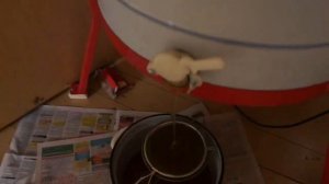 Откачка меда   конец сентября