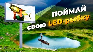 Светодиодный экран с шагом P8 мм на Петровском Дворе|HD LED TECH