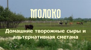 Домашние творожные сыры и альтернативная сметана | проект «Молоко»