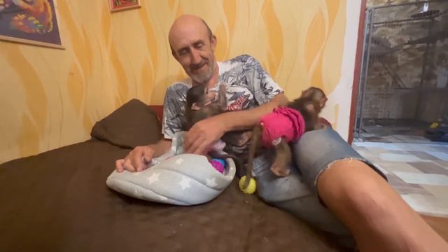 Из Беларуси нам пришли ВКУСНЯШКИ! Степашка и Маняшка распаковывают подарки!