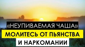 Икона Богородицы «Неупиваемая Чаша»