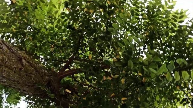 Отдых в Голубицкой. День 3 смотреть онлайн