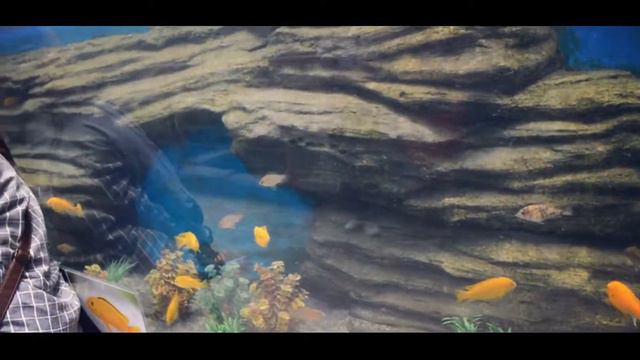 CEBU OCEAN PARK PART 1