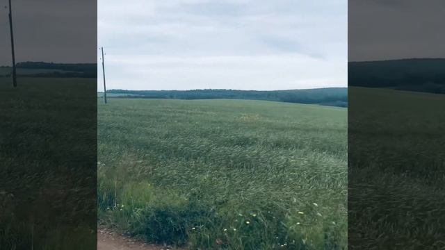 Деревенские мотивы: смена времён года смотреть онлайн