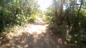 Спуск в Щепкинском лесу, Аксайский район