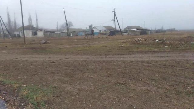 Новый Быт