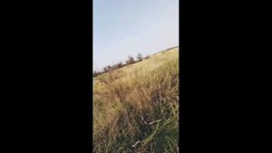 Мопед Карпаты с двигателем от Альфы 72куба.
