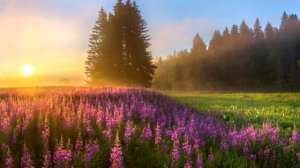 Общественное мнение сформированное теневым правительством, как ему противостоять.