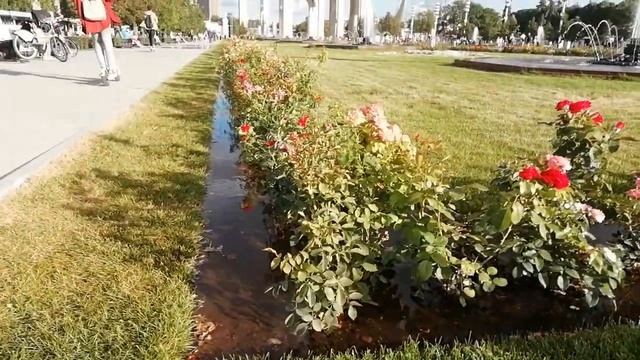На ВДНХ неисправность фонтанов после ремонта смотреть онлайн