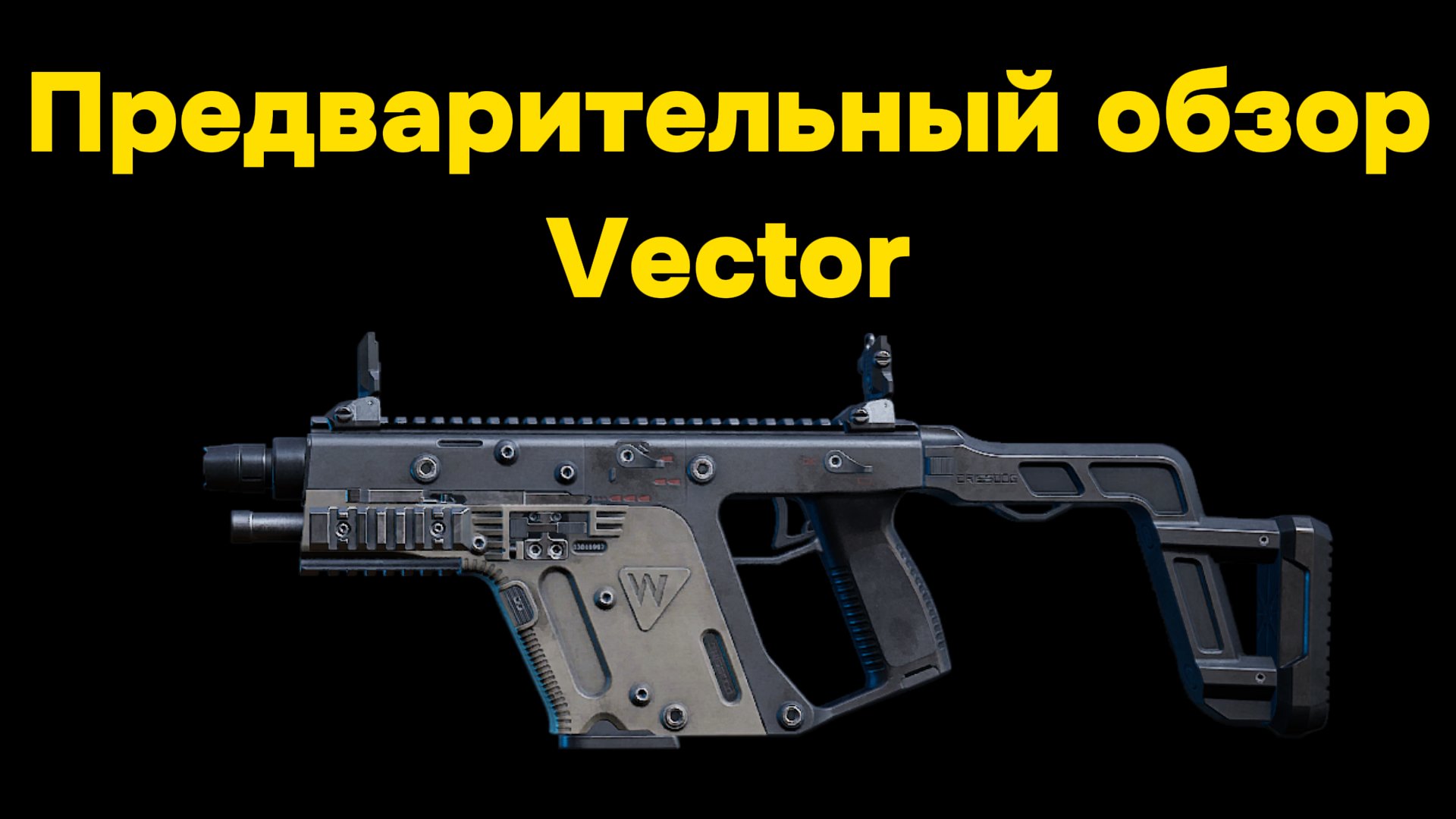 Vector обзор. Vector обзор