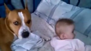 Стаффорд и младенец