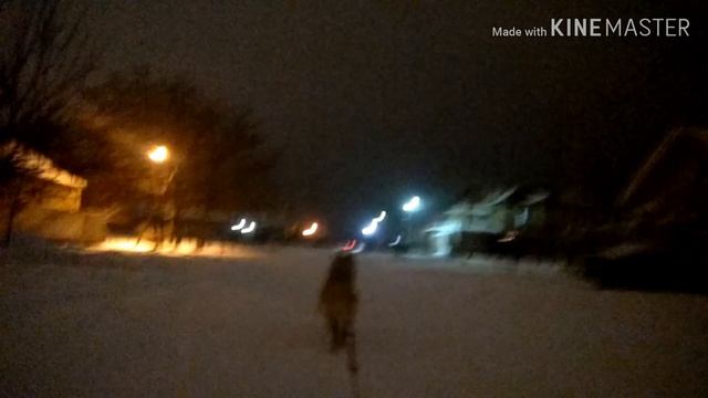 Remi Ездовая собака. Собака катает на санках. Ездовой Голден