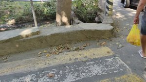 пешеходный переход в Алуште