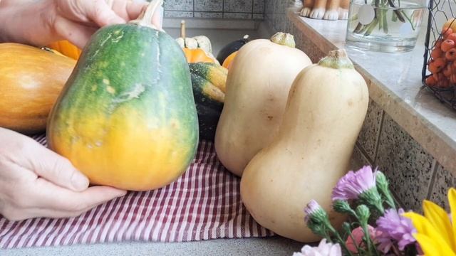 КАКИЕ  самые вкусные сорта тыквы/обзор