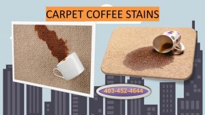 Commercial Carpet Cleaning Services Calgary Alberta (OxyGenie Calgary)