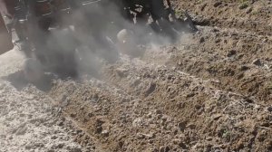 Сажаем картошку МТЗ 80 Картофелесажалка сн-4Б