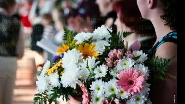 цветы на 1 сентября какие выбрать смотреть онлайн