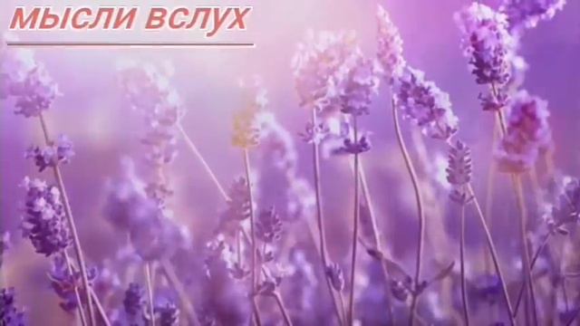 Диана,вопросы есть,а ответов - нет.Что делает Диану.Чуть не угробили кошку. смотреть онлайн