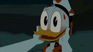 Дональд Дак и Дейзи Дак(это не женщина)