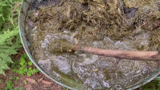 Чем подкормить огурцы?? смотреть онлайн