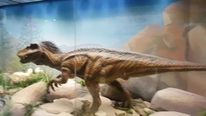 Динозавры в Дарвиновском музее в Москве