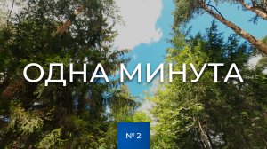 № 2 / Одна минута / В лесу / Май / Тверская область