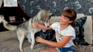 Собаки и дети | Хаски и ребёнок | Dogs and kids | Husky and baby