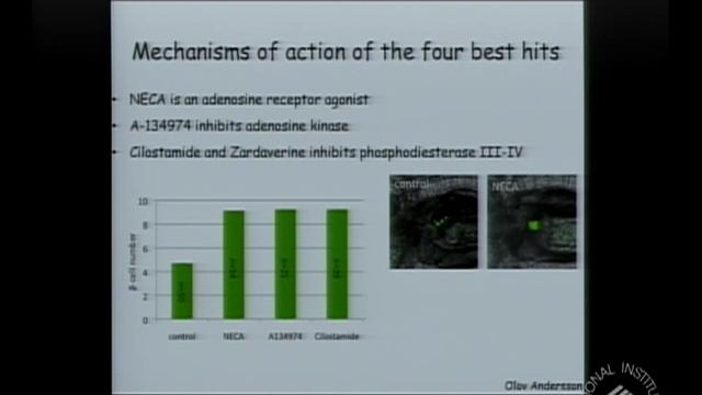 Curing Diabetes One Fish at a Time: The Long Road of Translational Research смотреть онлайн