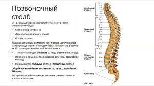 Функциональная анатомия для фитнес тренера 10.01.2021
